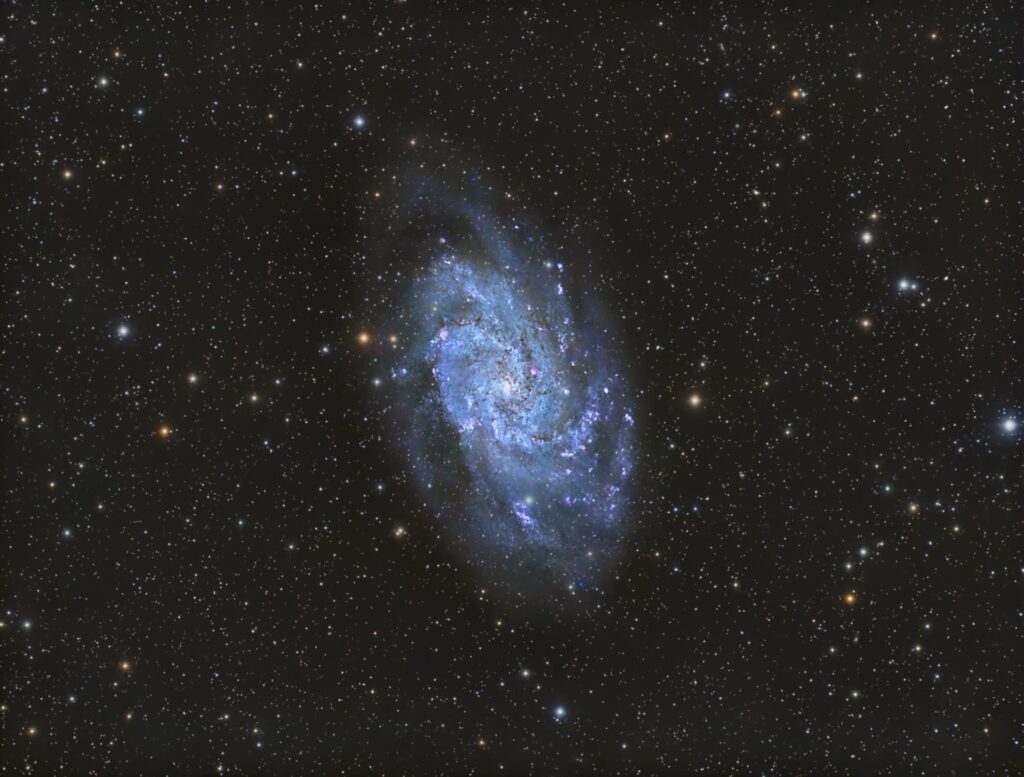 M33