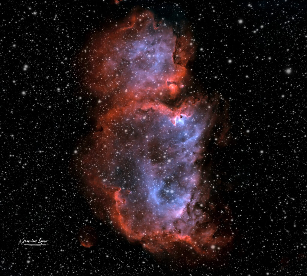 NGC1848
