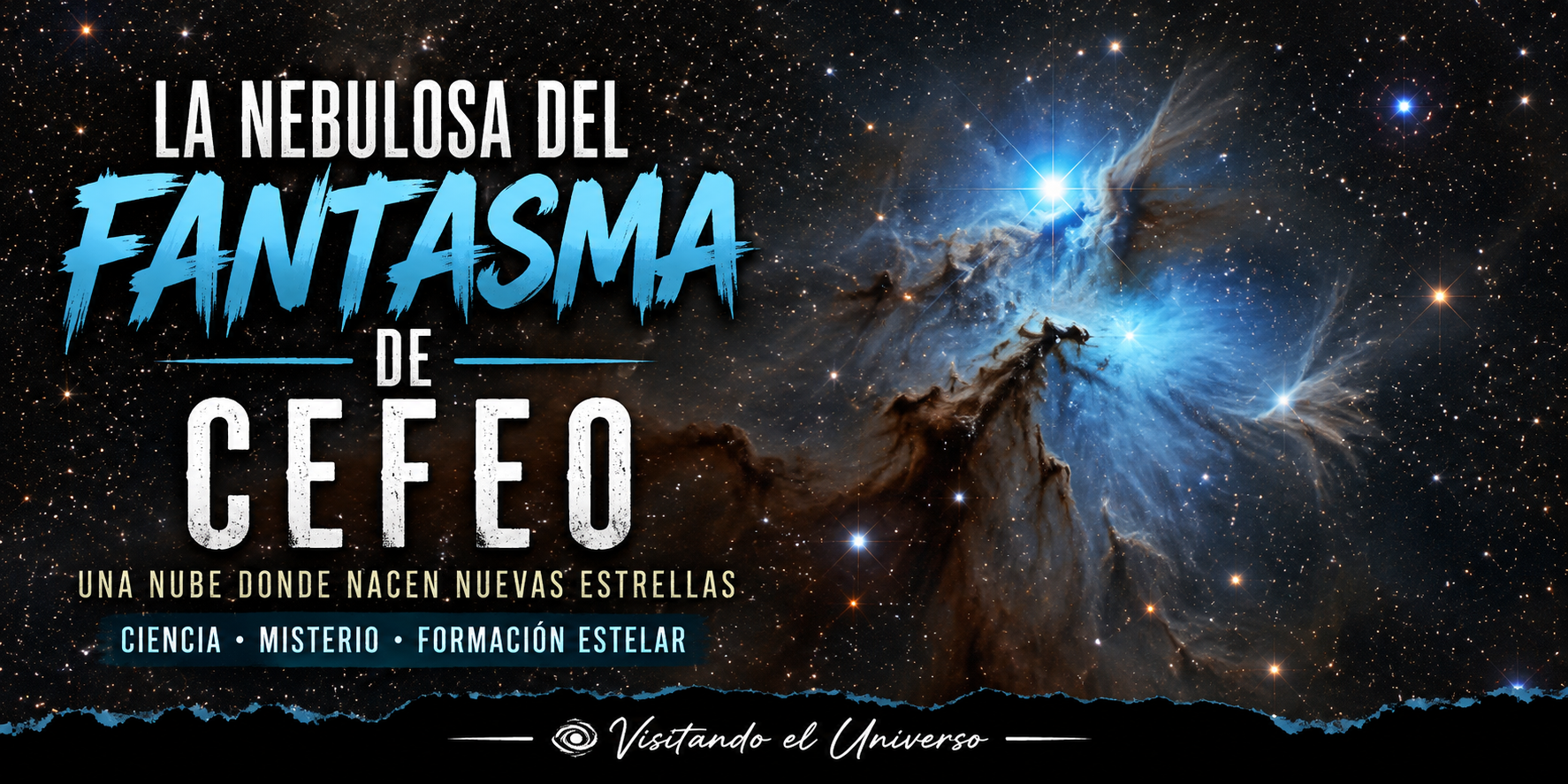La Nebulosa del Fantasma de Cefeo: Una nube donde nacen nuevas estrellas