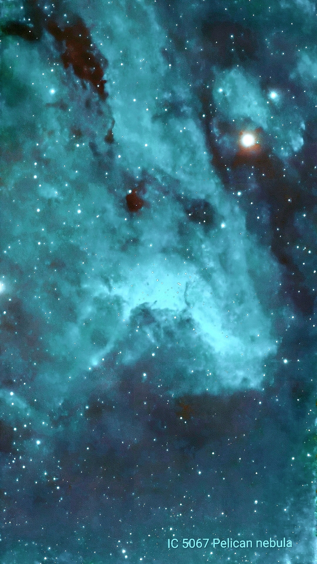 Nebulosa Pelicano